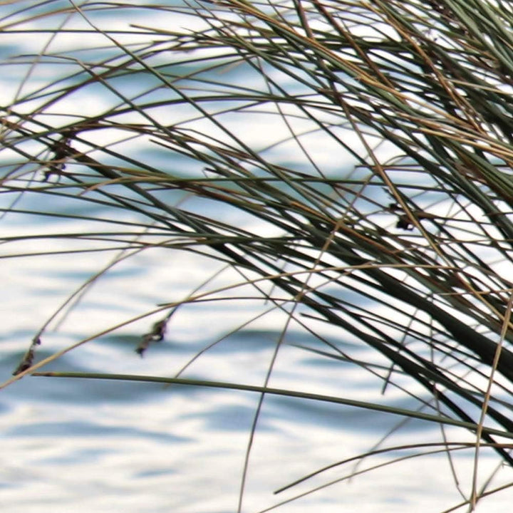 Feeby Leinwandbild 5 Teilig Landschaft Bild Wanddeko Gras See Natur braun 150x100 cm Leinwandbild 15