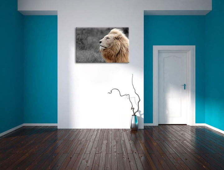 Weisser majestätischer Löwe in der Savanne schwarz/weiss Format: 100x70 auf Leinwand, XXL riesige Bi