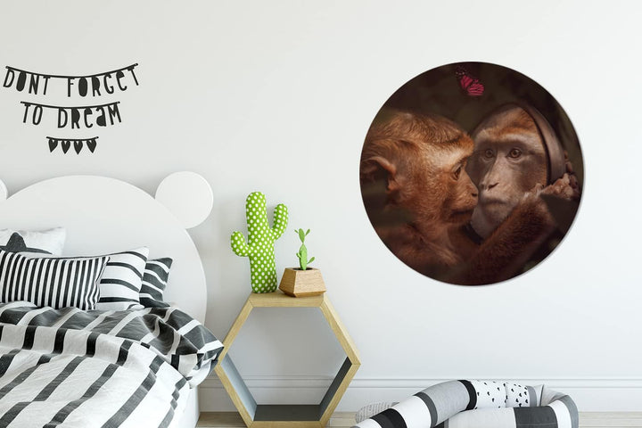 MuchoWow Wandbild Rund Wanddeko Deko Wohnzimmer Bilder 90x90 cm Schmetterling - Affe - Tiere - Dschu