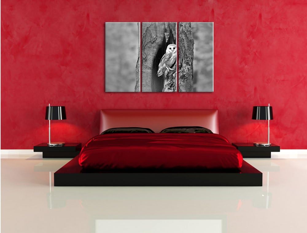 Pixxprint Schleiereule Baumhöhle als Leinwandbild/Grösse: 3 Teilig (120x80 cm) cm/Wandbild/Kunstdruc