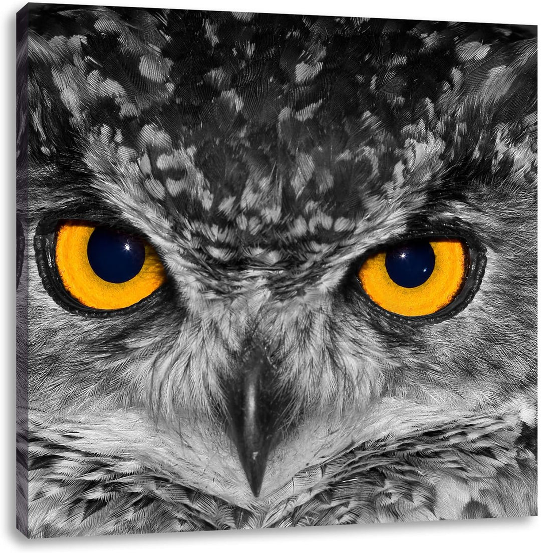 Pixxprint Eule mit Augen als Leinwandbild/Grösse: 70x70 cm/Wandbild/Kunstdruck/fertig bespannt, 70x7