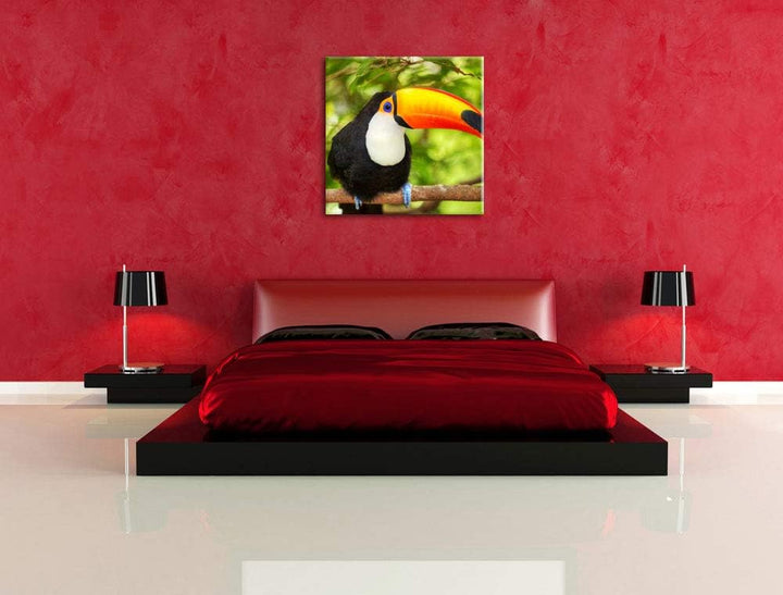 Exotischer Tukan, Format: 70x70 auf Leinwand, XXL riesige Bilder fertig gerahmt mit Keilrahmen, Kuns