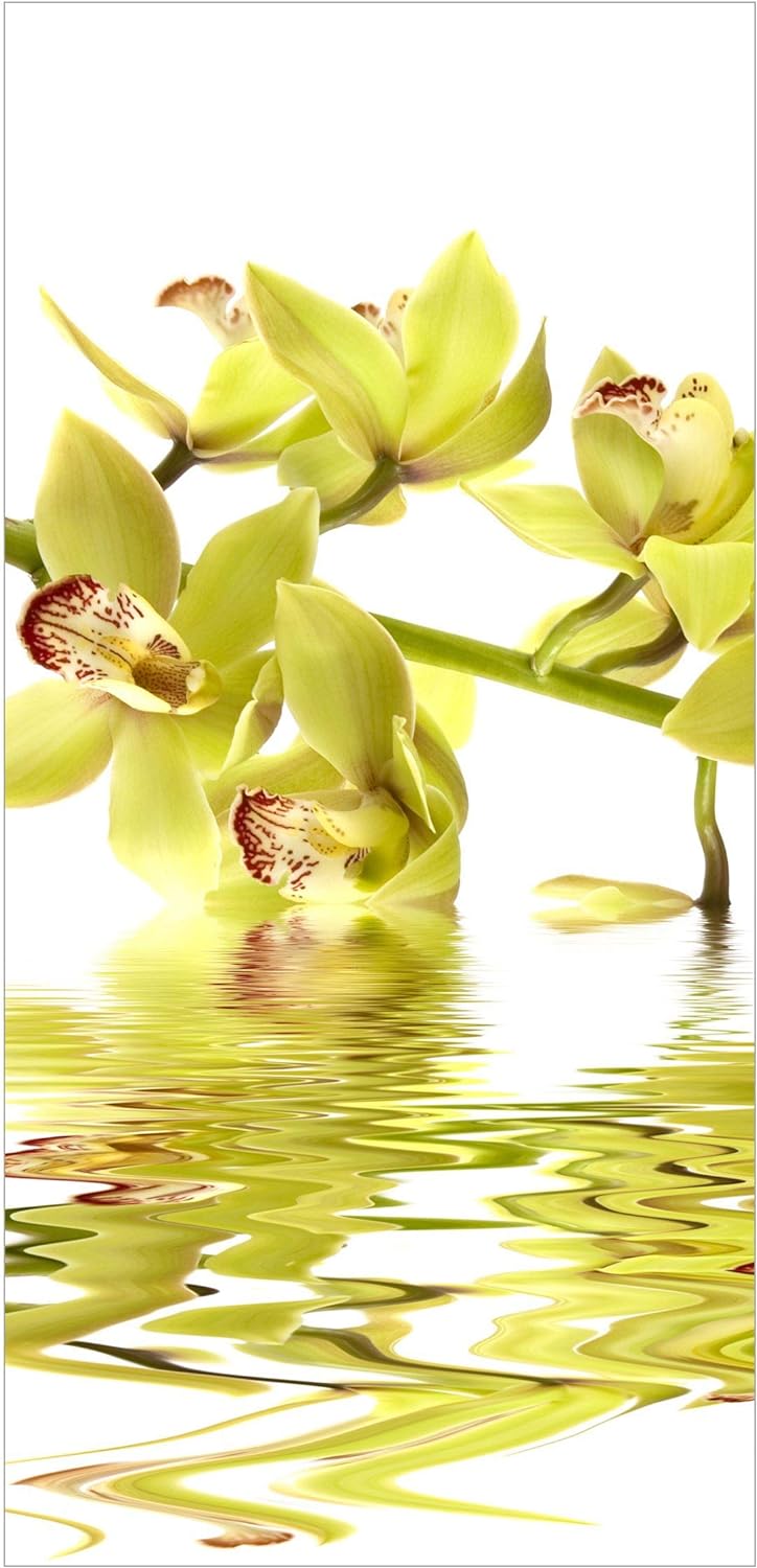 Bilderwelten Raumteiler Elegant Orchid Waters 250x120cm inkl. transparenter Halterung, inkl. transpa