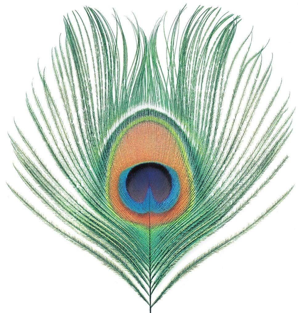 Apple Venus (Vol.1) (200, Vinyl
