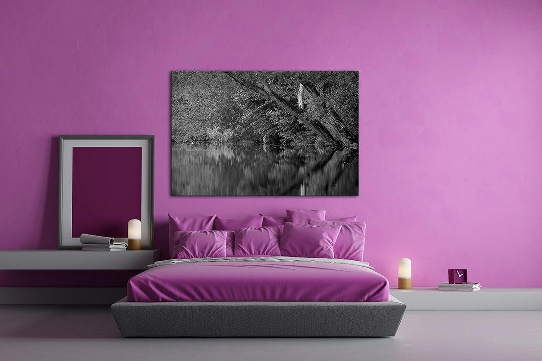 deyoli Bäume am Seeufer im Herbst Effekt: Schwarz/Weiss Format: 80x60 als Leinwand, Motiv fertig ger