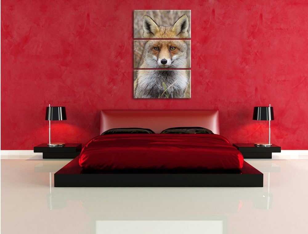 Pixxprint aufmerksamer Fuchs im Geäst als Leinwandbild/Grösse: 3 Teilig (120x80) cm/Wandbild/Kunstdr