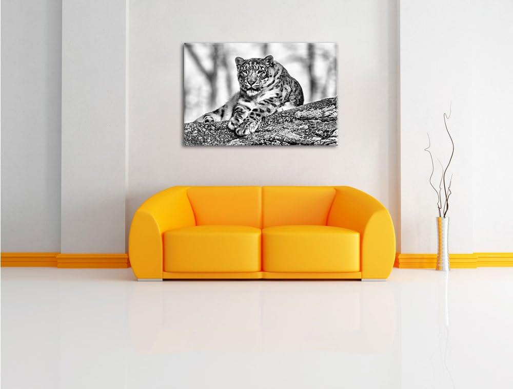 Pixxprint Schneeleopardin / 100x70cm Leinwandbild bespannt auf Holzrahmen/Wandbild Kunstdruck Dekora