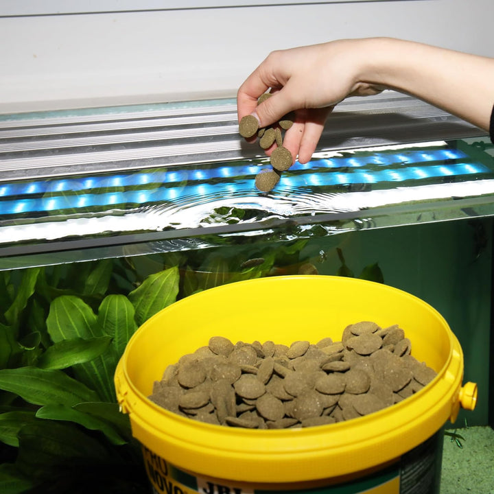 JBL PRONOVO PLECO WAFER, Futterwafer für Saugwelse von 15-40 cm, Fischfutter, Grösse XL, 5,5 l ProNo