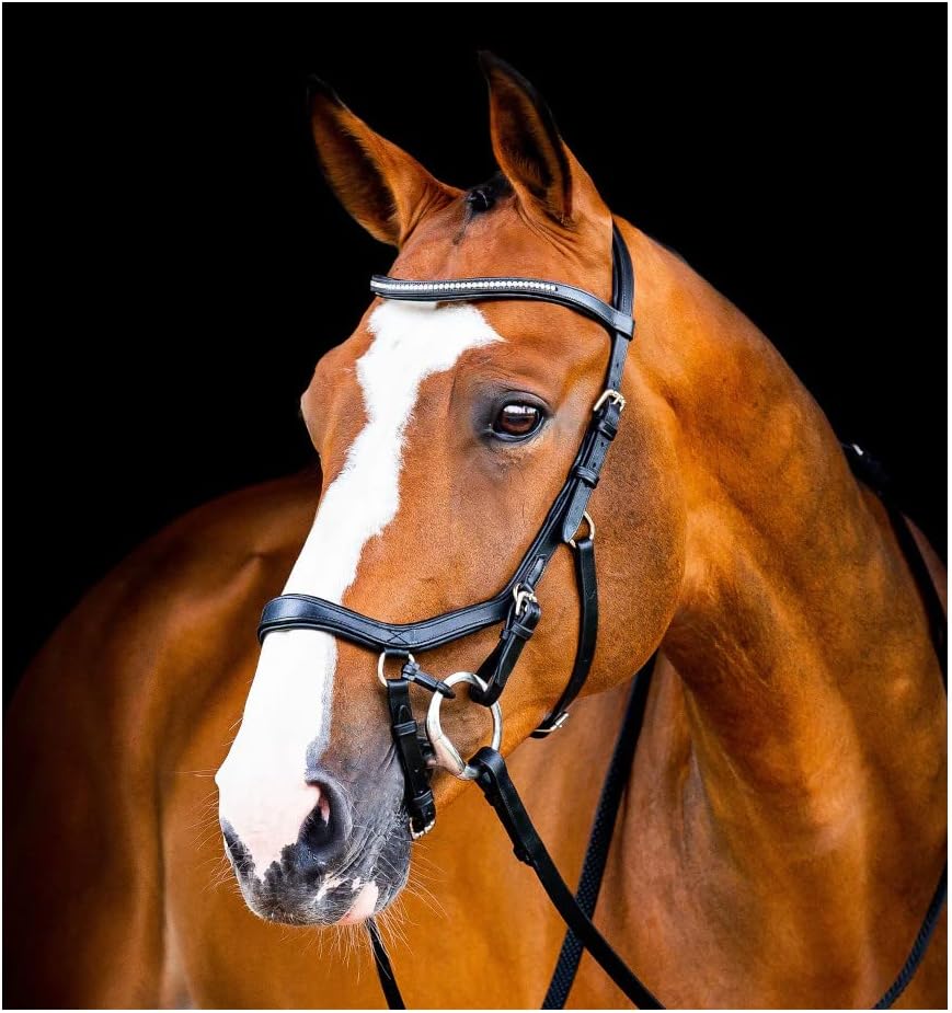 Horseware Unisex-Erwachsene Micklem Diamante Competit Zügel, Schwarz