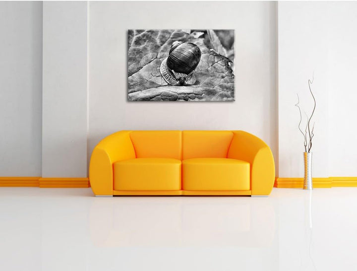 Pixxprint kleine Schnecke mit Schneckenhaus als Leinwandbild/Grösse: 100x70 cm/Wandbild/Kunstdruck/f