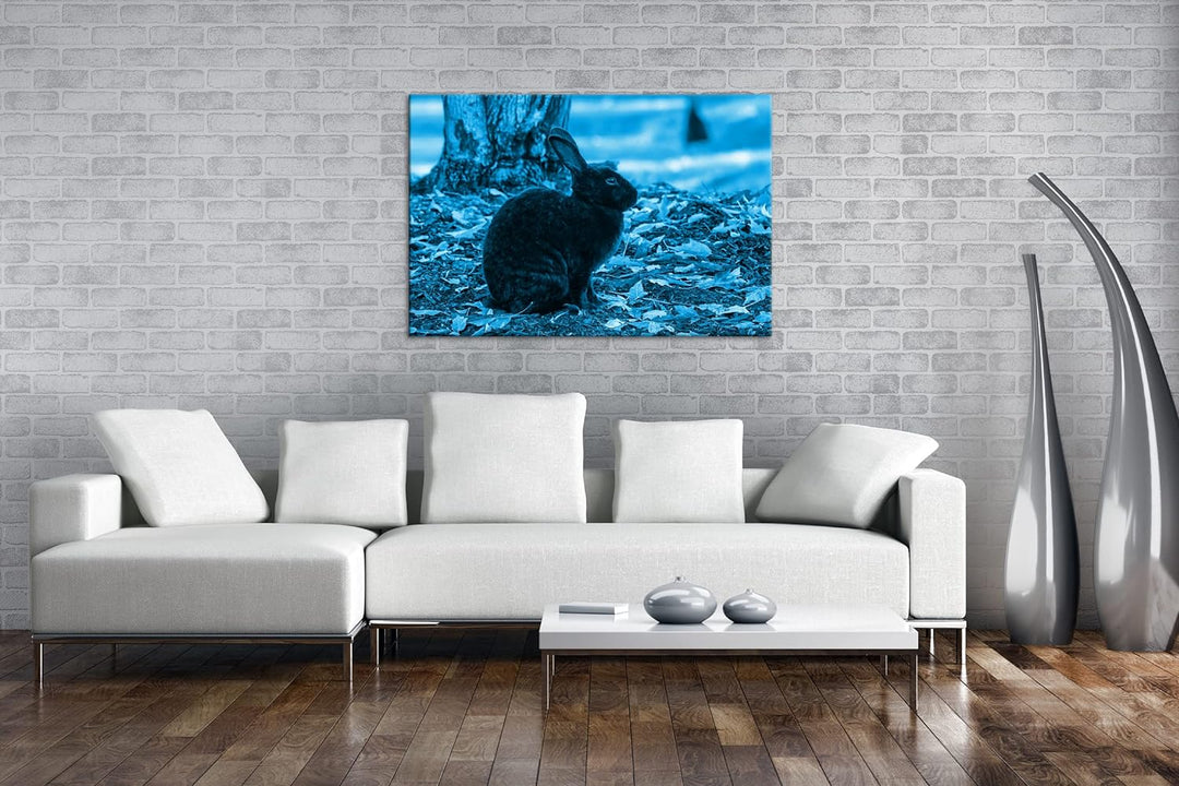 deyoli edler Schwarzer Hase Format: 80x60 Effekt: Monocrome Blau als Leinwand, Motiv fertig gerahmt