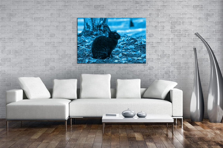 deyoli edler Schwarzer Hase Format: 80x60 Effekt: Monocrome Blau als Leinwand, Motiv fertig gerahmt