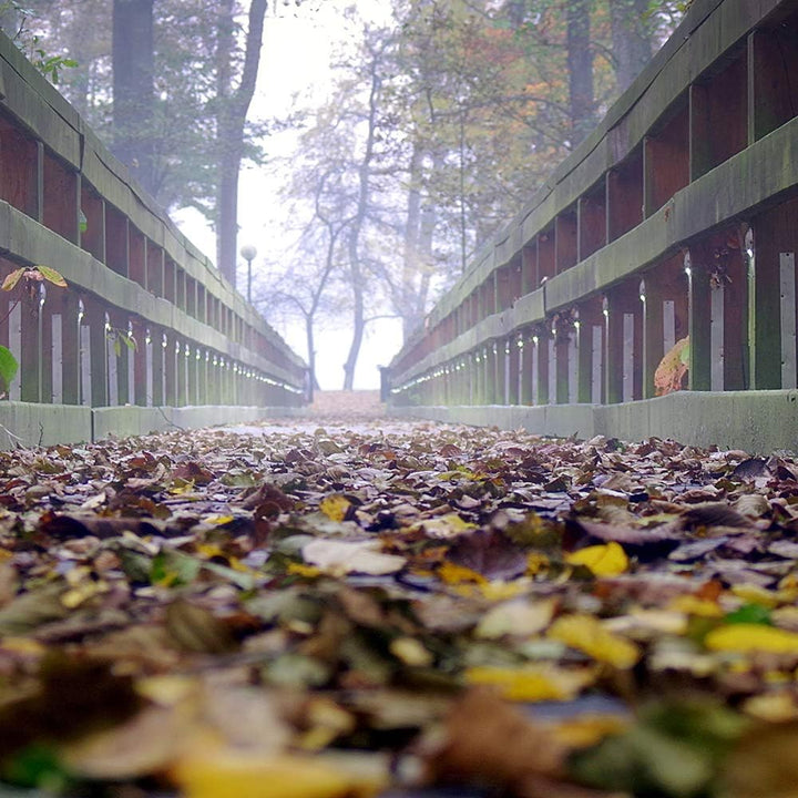 Leinwandbild Brücke 5 TLG Bild Kunstdruck Blätter Herbst Landschaft bunt 100x70 cm Leinwandbild 100x