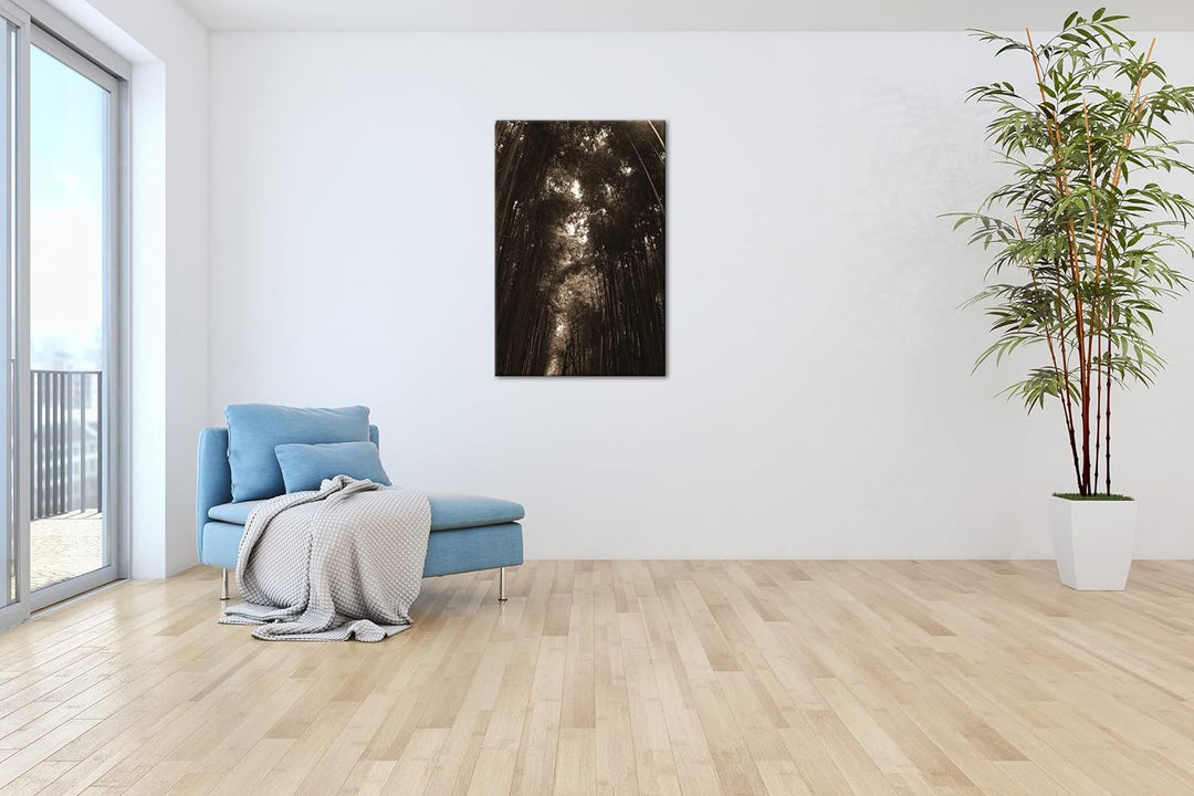 deyoli ein Wald voller Bambus Effekt: Sepia, Format: 80x60 als Leinwandbild, Motiv fertig gerahmt au