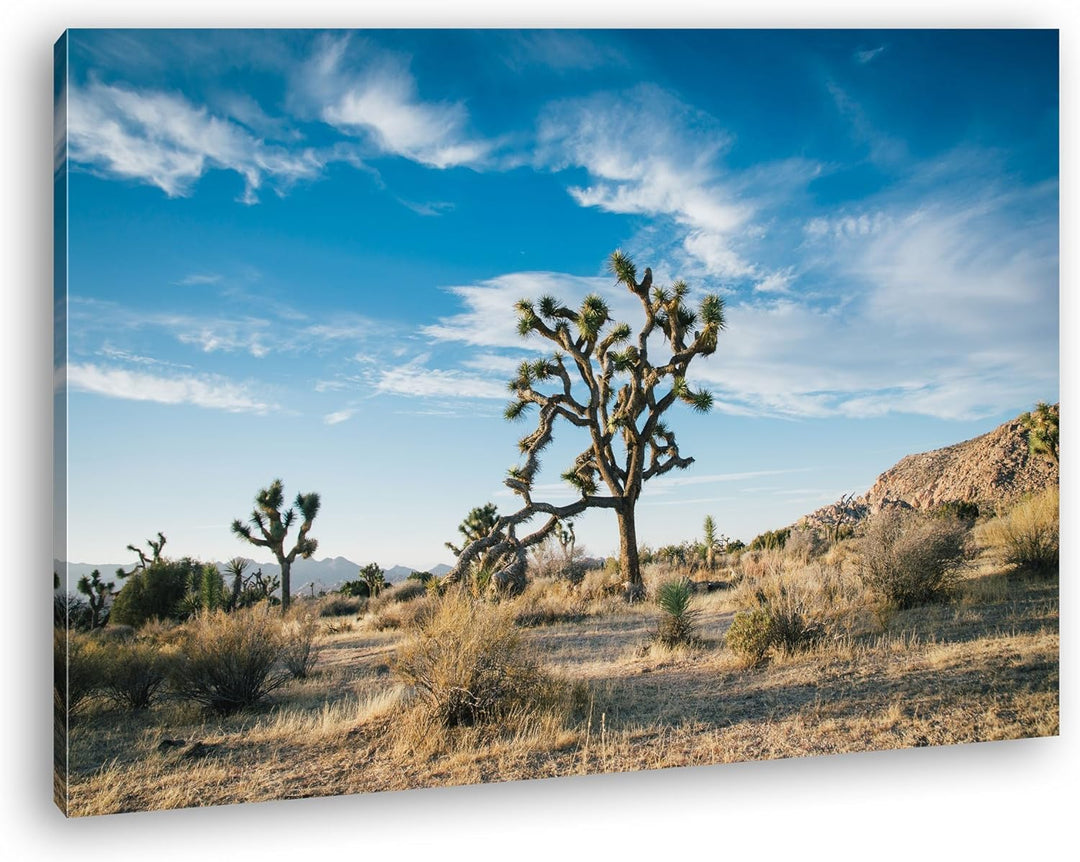 deyoli beeindrucken Wüstenlandschaft Format: 80x60 als Leinwand, Motiv fertig gerahmt auf Echtholzra