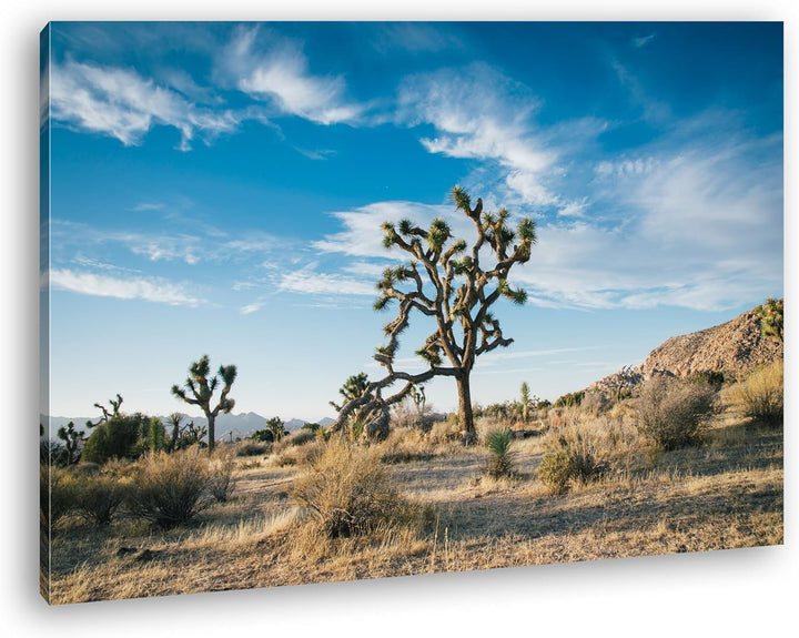 deyoli beeindrucken Wüstenlandschaft Format: 80x60 als Leinwand, Motiv fertig gerahmt auf Echtholzra