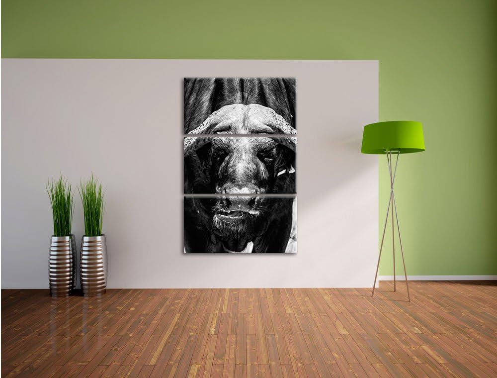 Pixxprint Wasserbüffel Schwarz/weiss 3-Teiler Leinwandbild 120x80 Bild auf Leinwand