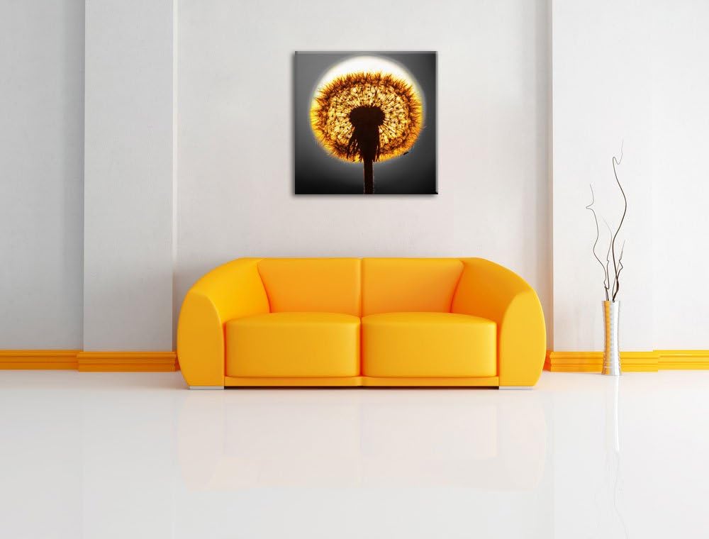 Pixxprint Pusteblume vor untergehender Sonne als Leinwandbild Quadratisch/Grösse: 70x70 / Wandbild/K