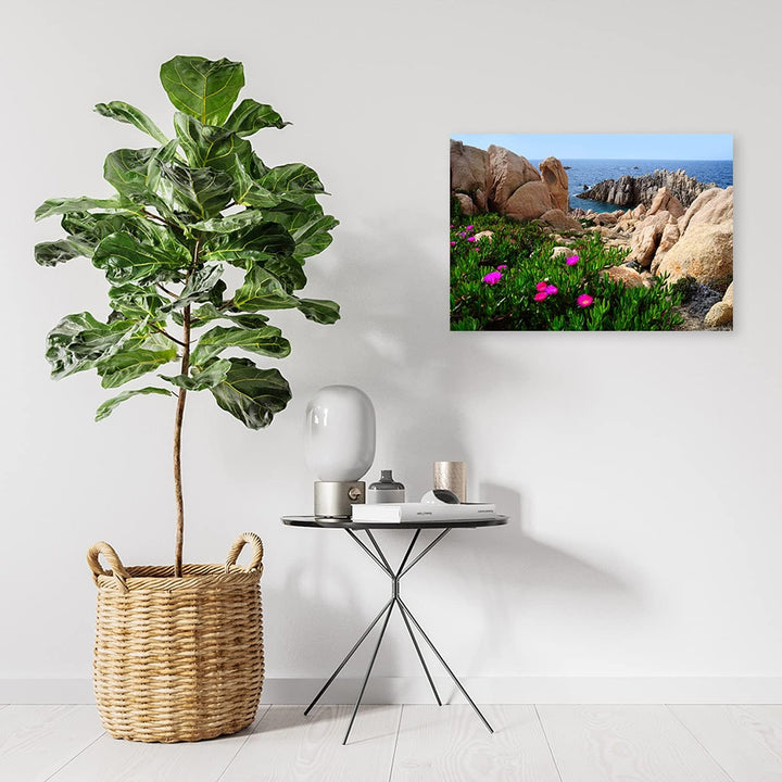 Febby Vlies Leinwandbild XXL Blumen Felsenufer 80x60 cm Wandbild Kunst Bilder Schlafzimmer Deko Wohn