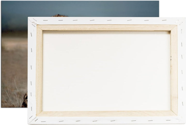 deyoli zwei süsse Geparden im Format: 80x60 als Leinwandbild, Motiv fertig gerahmt auf Echtholzrahme
