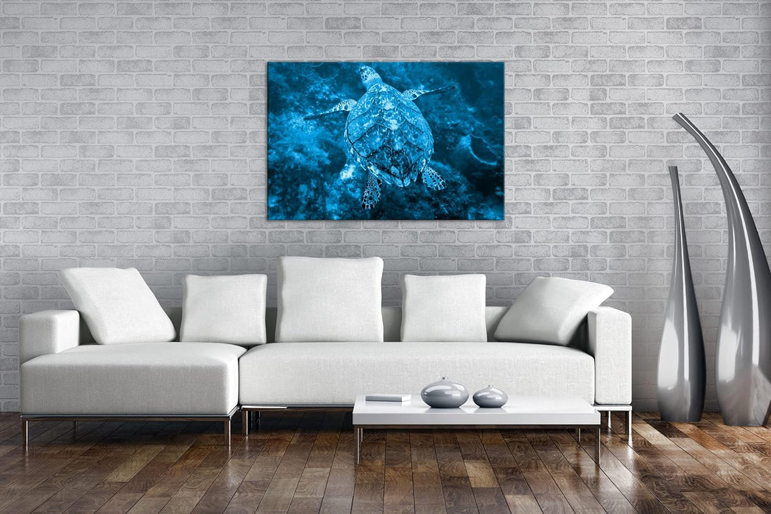 deyoli anmutige Schildkröte Format 80x60 Effekt: Monocrome Blau als Leinwandbild, Motiv fertig gerah