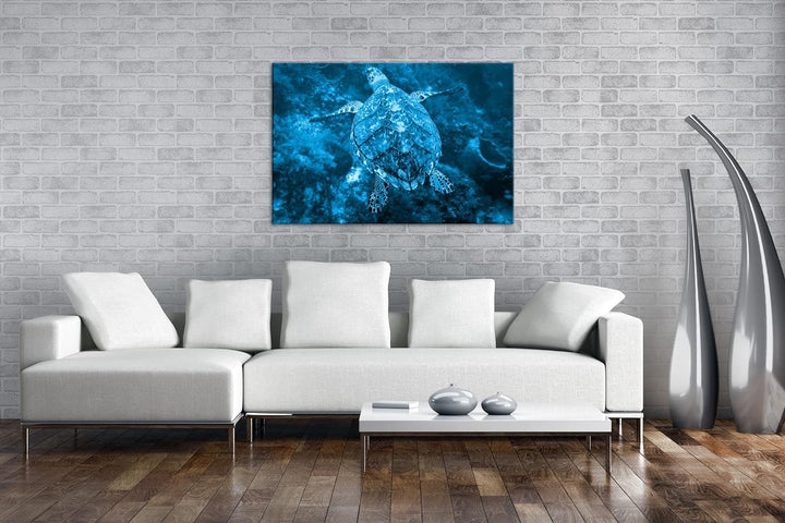 deyoli anmutige Schildkröte Format 80x60 Effekt: Monocrome Blau als Leinwandbild, Motiv fertig gerah