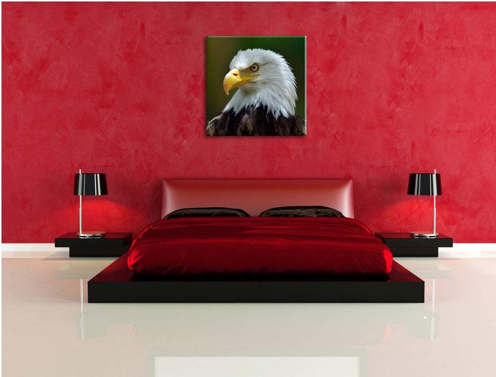 Mächtiger Weisskopfseeadler, Format: 70x70 auf Leinwand, XXL riesige Bilder fertig gerahmt mit Keilr