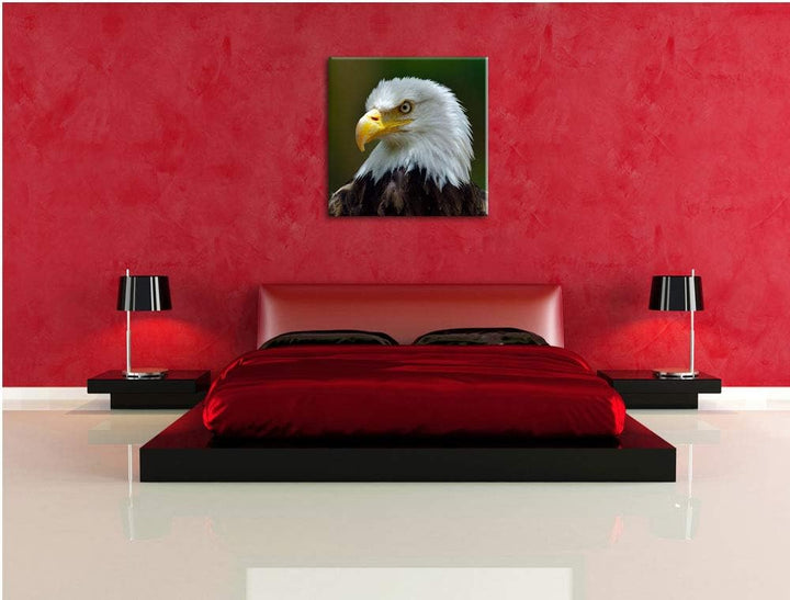 Mächtiger Weisskopfseeadler, Format: 70x70 auf Leinwand, XXL riesige Bilder fertig gerahmt mit Keilr