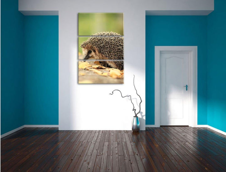 Pixxprint Igel im Laub als Leinwandbild/Grösse: 3 Teilig (120x80) cm/Wandbild/Kunstdruck/fertig besp
