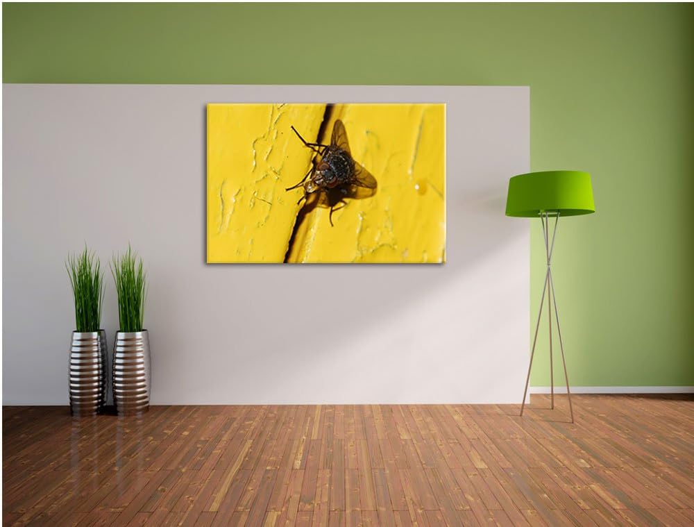 Pixxprint kleine Fliege mit Tautropfen auf Leinwand, XXL riesige Bilder fertig gerahmt mit Keilrahme