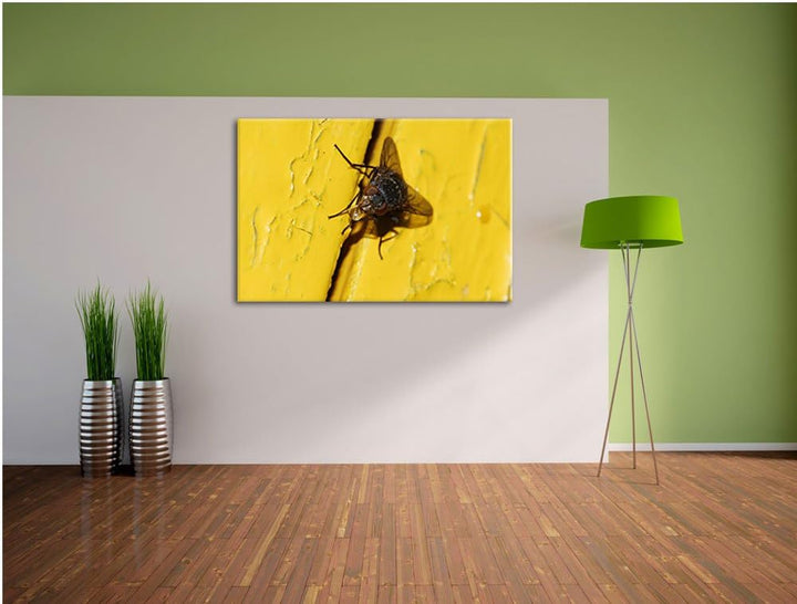 Pixxprint kleine Fliege mit Tautropfen auf Leinwand, XXL riesige Bilder fertig gerahmt mit Keilrahme
