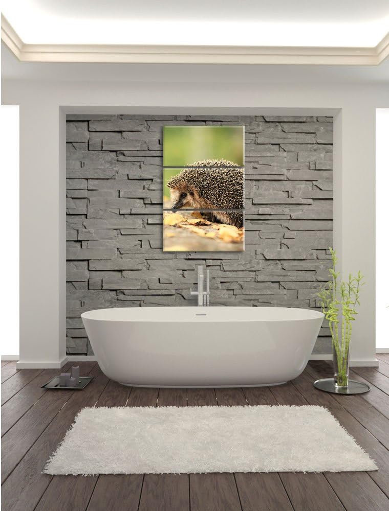 Pixxprint Igel im Laub als Leinwandbild/Grösse: 3 Teilig (120x80) cm/Wandbild/Kunstdruck/fertig besp
