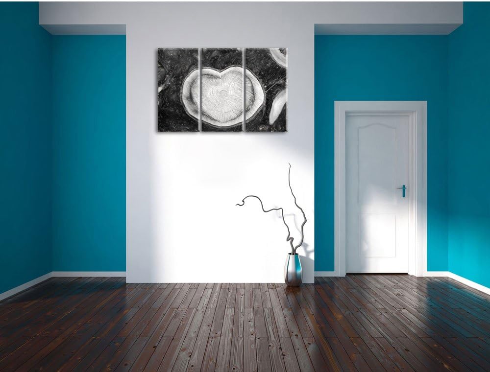 Pixxprint Jahresringe am Baumstamm / 3-Teilig/Gesamtmass 120cm Leinwandbild bespannt auf Holzrahmen/