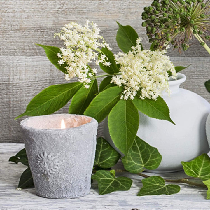 Feeby Vlies Leinwandbild Pflanzen Kerzenvasen 120x80 cm Wanddeko Design Kunstdruck Zimmerdeko Bilder