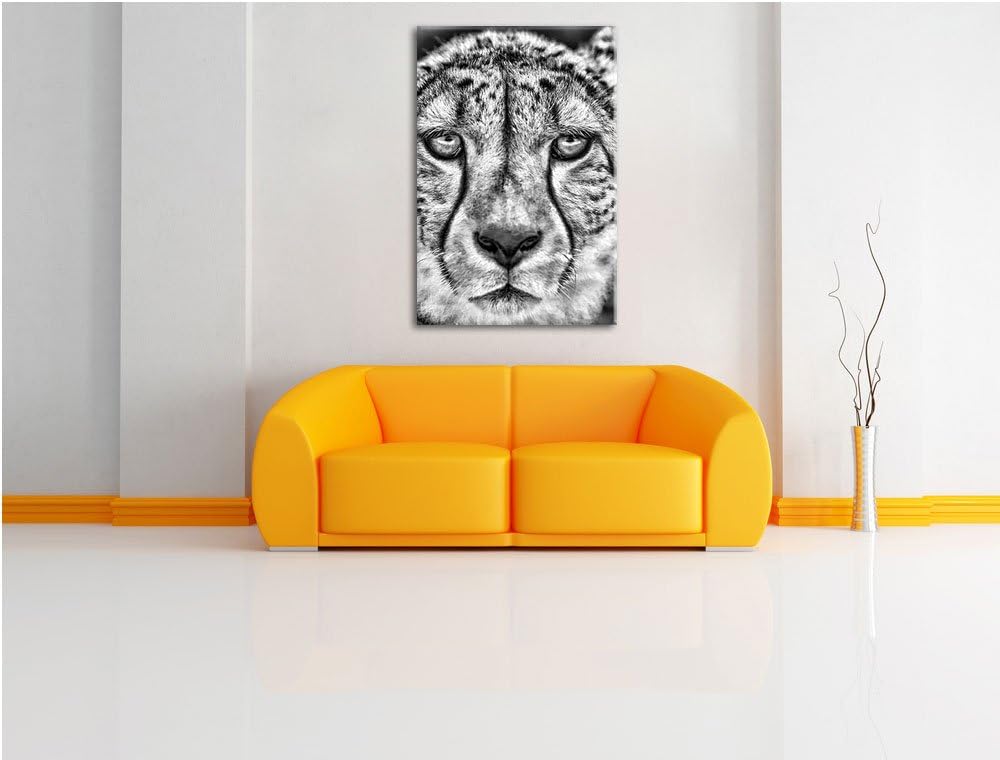 Pixxprint ruhender Gepard als Leinwandbild/Grösse: 100x70 cm/Wandbild/Kunstdruck/fertig bespannt, 10