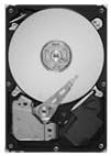 Seagate ST31000520AS