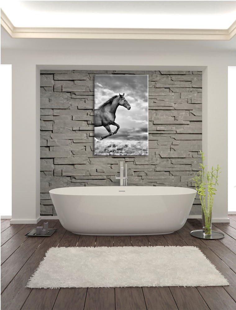 Pixxprint Monocrome, Edler schwarzer Hengst auf Wiese, Format: 100x70 auf Leinwand, XXL riesige Bild