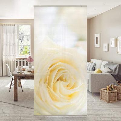 Bilderwelten Raumteiler White Rose 250x120cm inkl. transparenter Halterung 250x120cm incl. transpare