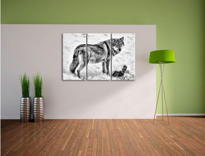 Pixxprint Monocrome, prächtiger Wolf im Schnee 3-Teiler Leinwandbild 120x80 Bild auf Leinwand