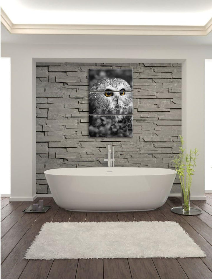 Pixxprint junger Kauz im Vogelbeerstrauch schwarz/weiss 3-Teiler Leinwandbild 120x80 Bild auf Leinwa