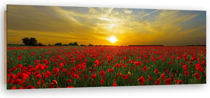 Wanddeko Mohnblumen Kunst modern Bilder Landschaft Rot 140x45 cm Deko Paneel 140x45 cm Rot_B, Deko P