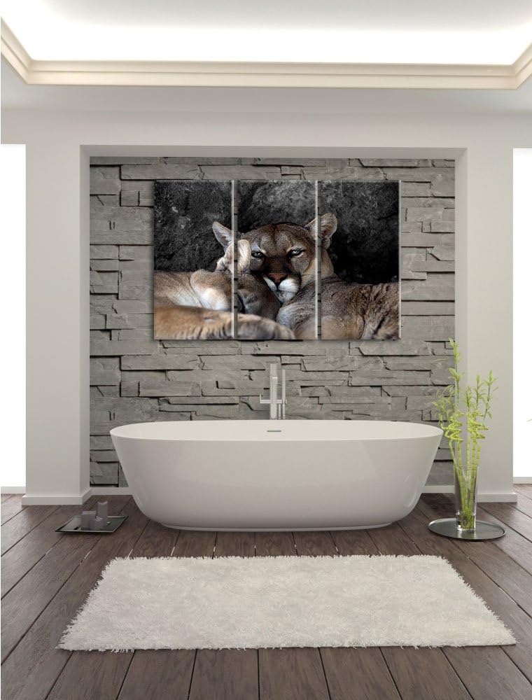 Pixxprint verschlafenes Puma Paar B&W Detail 3-Teiler Leinwandbild 120x80 Bild auf Leinwand
