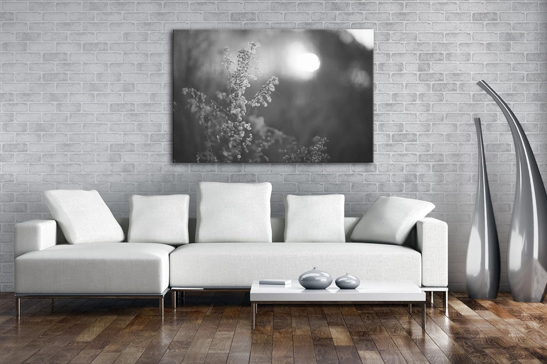 deyoli Gräser bei Dämmerung Effekt: Schwarz/Weiss im Format: 100x70 als Leinwandbild, Motiv fertig g