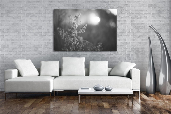 deyoli Gräser bei Dämmerung Effekt: Schwarz/Weiss im Format: 100x70 als Leinwandbild, Motiv fertig g