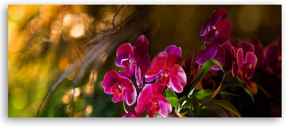 Wandbild Blumen Modern Deko Kunst Bilder für Wohnzimmer Violett 118x40 cm Deko Paneel 118x40 cm Viol