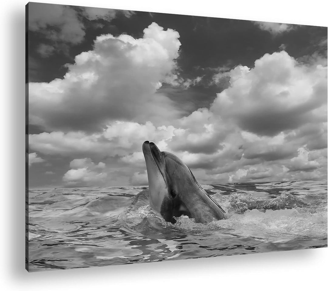 deyoli zauberhafter Delfin Effekt: Schwarz&Weiss Format: 80x60 als Leinwandbild, Motiv fertig gerahm