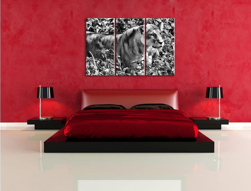 Pixxprint Monocrome, wachsame Löwin 3-Teiler Leinwandbild 120x80 Bild auf Leinwand