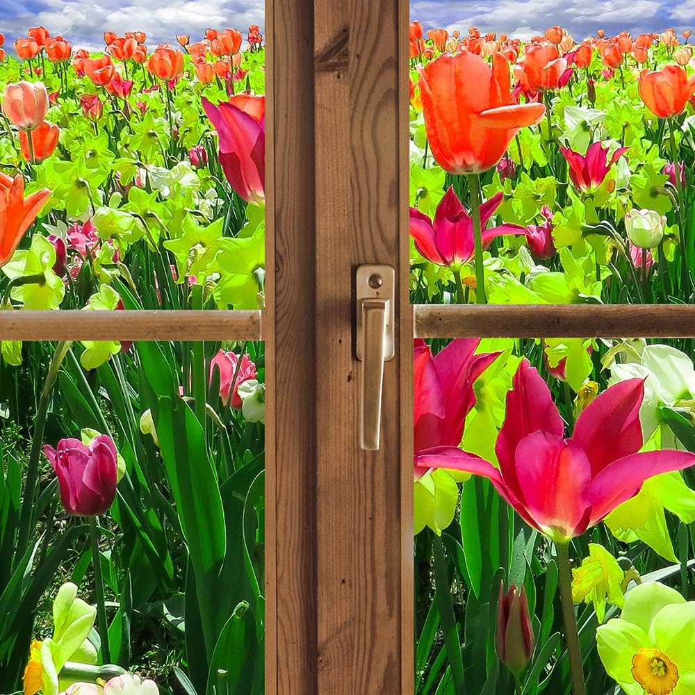 Wanddeko Fenster 3D Illusion Kunst Modern Art Bilder Blumen mehrfarbig 90x60 cm Deko paneel 90x60 cm