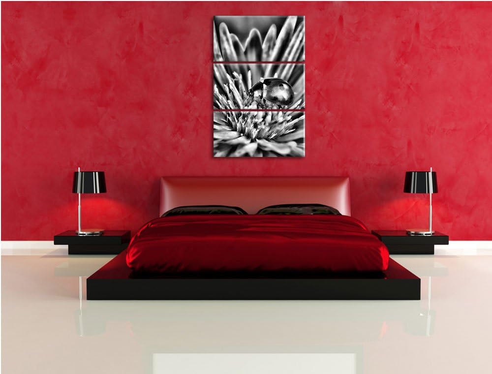 Pixxprint Marienkäfer auf Blume als Leinwandbild/Grösse: 3 Teilig (120x80) cm/Wandbild/Kunstdruck/fe