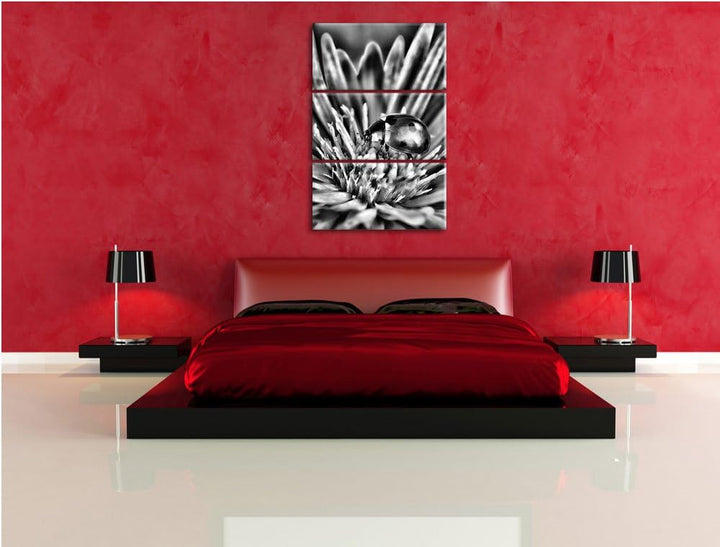 Pixxprint Marienkäfer auf Blume als Leinwandbild/Grösse: 3 Teilig (120x80) cm/Wandbild/Kunstdruck/fe